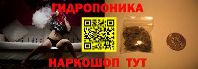 СК Пенза