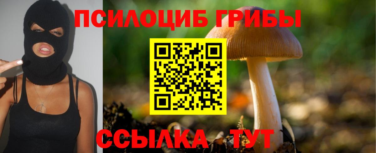 Псилоцибиновые грибы прущие грибы  Вход с VPN  Тамбов 