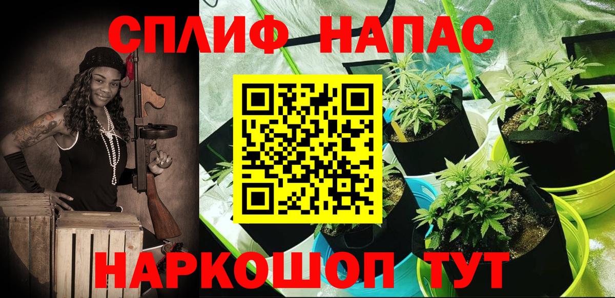 Конопля Amnesia Тамбов